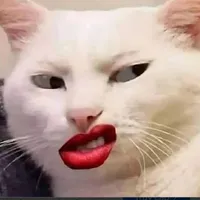 Đội ẩn giả