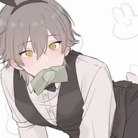 ygami(hệ thống 1367)