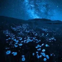 tác giả muốn ...DIE