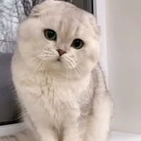 Ma Kết ♑
