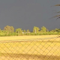 hệ thống//hết ảnh r//