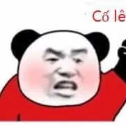 T/g