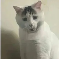 Cửa-chan