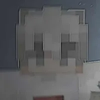 OzinMC