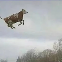 Hệ thống 419 • Milk •