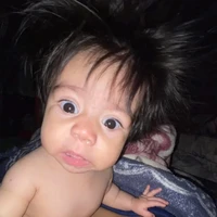 múi quýt của sơn k 🍊 ( tác giả)