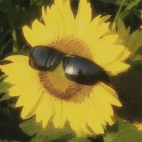 all