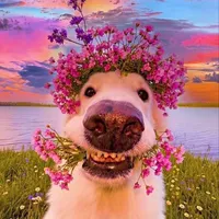 t/g con báo nhất xóm :)))