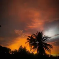 đa nhân vật