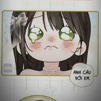 tui là tác giả 