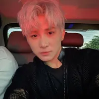 Lê Hồng Sơn