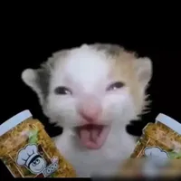 2 đứa điên