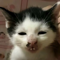 hệ thống 001