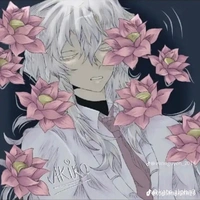 hiha hologram