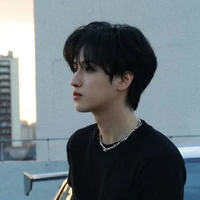 Nghiêm Hạo Tường