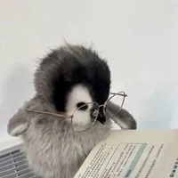 cụttt