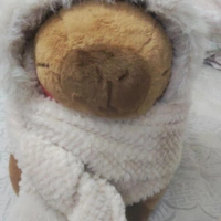 người dẫn truyện 