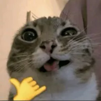 oi oi oi baka