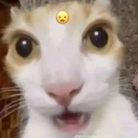 hệ thống cuteo