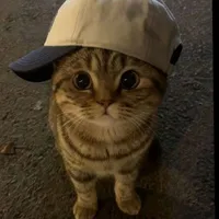 all(trừ ai thì trừ)