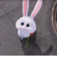 Senseless rabbit