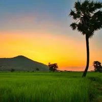 Cả trường