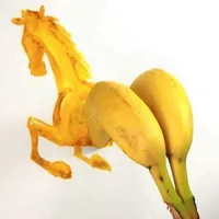 T/g cute phô mai que