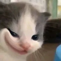 Hà Phương (toi đó🥰)