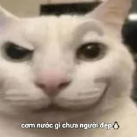 Tú Quyên