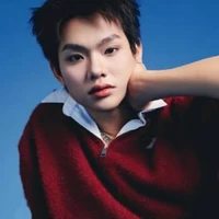 Bùi Trường Linh