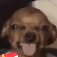 t/g