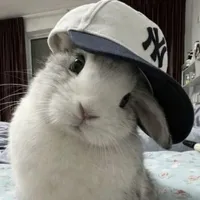 「Hệ Thống」Hanz