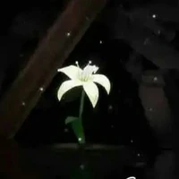 Hệ thống _1786-FAX