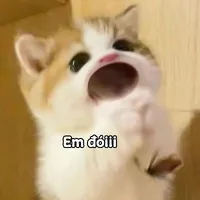 Moon lên núi ở với khỉ