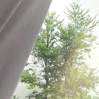 All tất cả [trừ ai thì trừ]