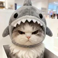 t/g cute