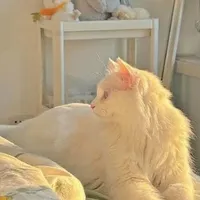 T/g
