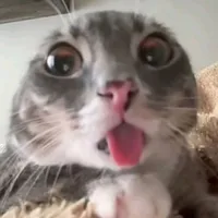 Viết Truyện dở