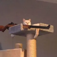 NV Nam