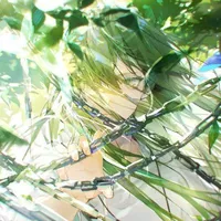 Hệ Thống Đại Địa [09]