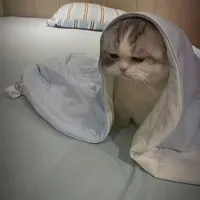 T/G muốn đc tịnh tâm