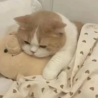 Con t/g viết truyện này