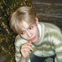 Phạm Đức Nhật Hoàng (nguyên chủ)