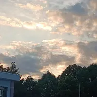 Bạn tác giả đáng iu