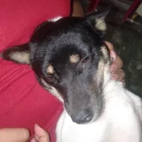 con quỷ tg