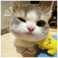 tác giả