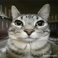 cả lớp