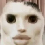 tác giả đẹp trai