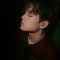 Bùi Trường Linh - buitruonglinh