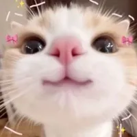 It